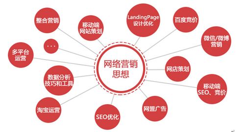 苔米傳媒為何聚焦網(wǎng)絡(luò)營銷 互聯(lián)網(wǎng)時代的上網(wǎng)服務(wù)新機(jī)遇