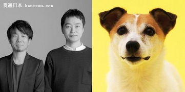 汪星人的住房需求，你懂嗎？電影攝制服務的視角