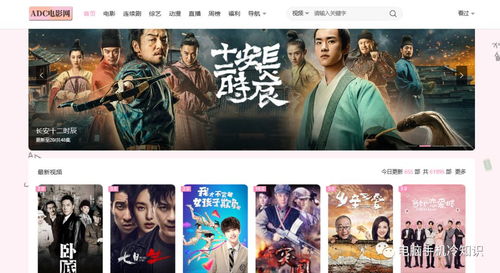 8大超牛的精品影視網站 免費資源與低調使用的全面指南，附帶電影攝制服務推薦